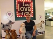 I and love and you Recall Dog Treats I and love and you Recalling Dog Treats