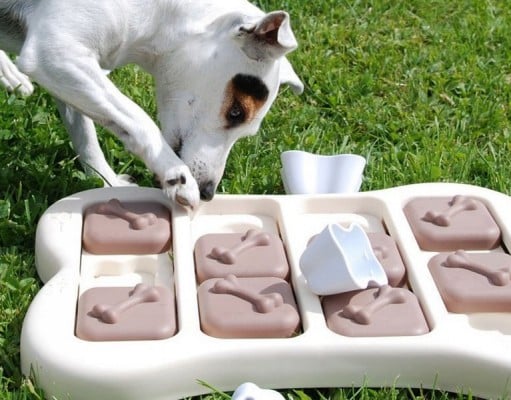 Interactive Puzzle Toys for Dogs as a Brain Exercise Interactive Puzzle Toys for Dogs