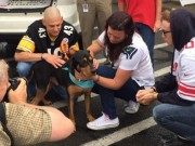 Microchip Technology Brings “Dead” Dog Back to His Family Microchip Technology Brings Dead Dog Back to His Family