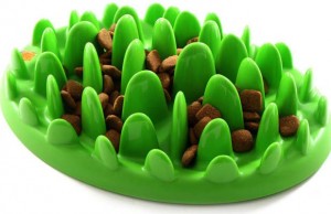 Northmate’s Slow Dog Feeder Will Make Your Fido Work for His Dinner Northmate Slow Dog Feeder Will Make Your Fido Work for His Dinner