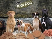 OC Raw Dog Recalling Dog Food for Salmonella Risk OC Raw Dog Recalling Dog Food for Salmonella Risk