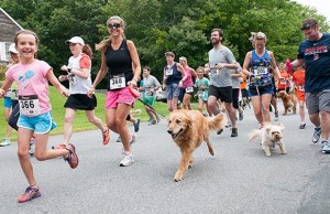 PawsitiveFX is Helping in the Fight Against Animal Cruelty PawsitiveFX Helping in the Fight Against Animal Cruelty