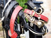 Pet Accessories Startup Looking to Raise $380,000 Pet Accessories Startup Looking to Raise $380,000