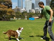 Play With Your Dog And Perform Scientific Research At the Same Time Play With Your Dog And Perform Scientific Research At the Same Time