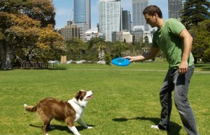 Play With Your Dog And Perform Scientific Research At the Same Time Play With Your Dog And Perform Scientific Research At the Same Time