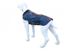 Protect Your Dog With This Weather Shield Protect Your Dog With This Weather Shield