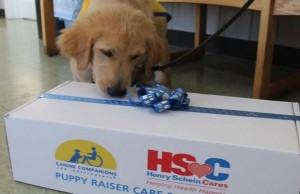 Puppy Raisers and Their Vets Are Receiving Special Care Packages Puppy Raisers and Their Vets Are Receiving Special Care Packages
