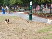Residents and Business Owners Oppose Louisiana Dog Park Residents and Business Owners Oppose Louisiana Dog Park