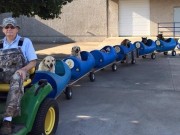 Retiree Builds “Dog Train” To Take Rescued Pups For Rides Retiree Builds Dog Train To Take Rescued Pups For Rides