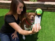 Tennis Ball Smartphone Attachment Makes Taking Selfies With Your Dog Simple Tennis Ball Smartphone Attachment Makes Taking Selfies With Your Dog Simple