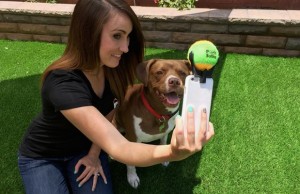 Tennis Ball Smartphone Attachment Makes Taking Selfies With Your Dog Simple Tennis Ball Smartphone Attachment Makes Taking Selfies With Your Dog Simple