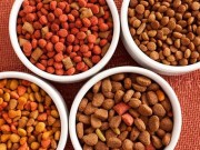 This May Just Be the Healthiest Dog Food on the Market Serendipity