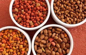 This May Just Be the Healthiest Dog Food on the Market Serendipity