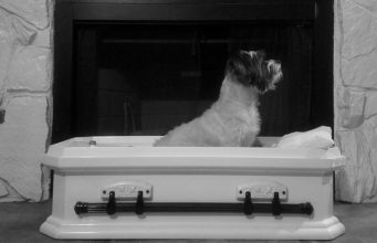 Top 5 Best Dog Caskets for Burial Top 5 Best Dog Caskets for Burial 2020