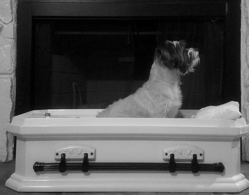 Top 5 Best Dog Caskets for Burial Top 5 Best Dog Caskets for Burial 2020
