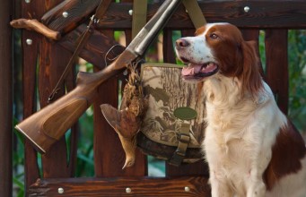 30 Hunting Dog Supplies That’ll Make You A Better Hunter Top Hunting Dog Supplies That'll Make You A Better Hunter