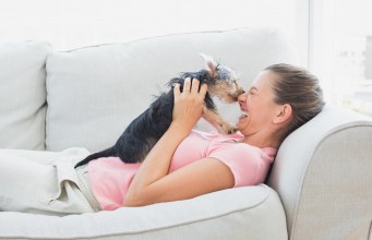 10 Ways Dogs Communicate Their Sense of Humor, According to Science Ways Dogs Communicate Their Sense of Humor According to Science and Studies