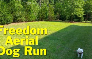 Here’s a Great Alternative For Fencing In Your Yard