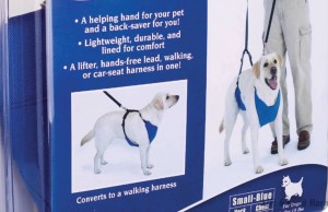 Easily Give Your Dog a Lift With This Innovative Harness