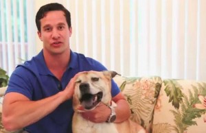 The Clawgaurd Protects Your Door From Scratching