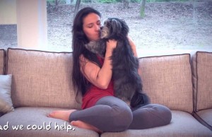 Housetrain Your Dog the Easy Way With This Automatic System