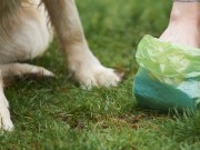 Are You Using State of the Art Dog Poop Bags? Are You Using State of the Art Dog Poop Bags