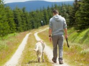 BorrowMyDoggy Can Find You a Part-Time Pet BorrowMyDoggy Can Find You a Part-Time Pet