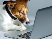 Coastal Pet Products Launches New Website Coastal Pet Products Launches New Website