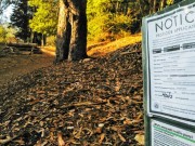 Could Your Parks & Rec. Department Be Giving Your Dog Cancer? Could Your Parks & Rec Department Be Giving Your Dog Cancer?
