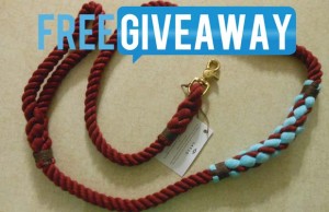 Giveaway: Cruiser Leash from LASSO Dog Product Giveaway - Cruiser Leash from LASSO