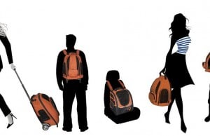 Keep Your Dog Safe With This 5-in-1 Travel Product IGO Pet Travel Backpack