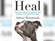 New Book Explains How Dogs Help Cure Cancer New Book Explains How Dogs Help Cure Cancer