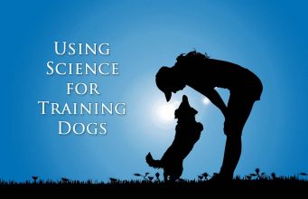 10 Psychological Dog Training Tricks Science-based Dog Training Tricks Using Psychology featured image
