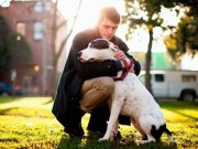 Study Shines Light On Why We Choose Certain Dogs Study Shines Light On Why We Choose Certain Dogs