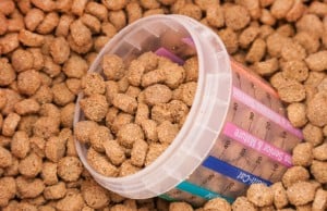 Sunday’s Recap: What Ingredients Should You Look For in Dog Food? What Ingredients Should You Look For in Dog Food?