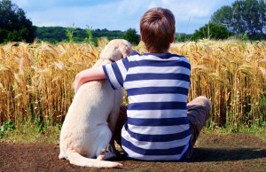 How to Convince Your Parents to Get a Dog Advice on How to Convince Your Parents to Get a Dog