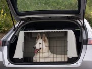 Are Dog Travel Crates As Safe As You Think They Are? Are Dog Travel Crates As Safe As You Think They Are
