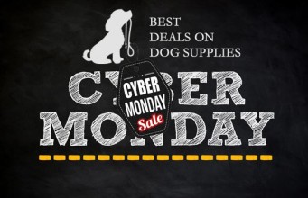 Cyber Monday: Best Deals on Dog Supplies
