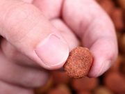 25 Best Dry Dog Food Online Brands for All Ages Best Dry Dog Food Online Brands for All Ages