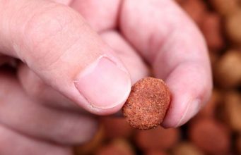 25 Best Dry Dog Food Online Brands for All Ages Best Dry Dog Food Online Brands for All Ages