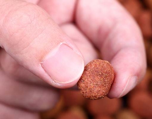 25 Best Dry Dog Food Online Brands for All Ages Best Dry Dog Food Online Brands for All Ages