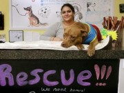 Can This Couple Revolutionize Dog Rescue Organizations? Can This Couple Revolution Dog Rescue Organizations