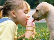 Does Growing Up With a Dog Reduce A Child’s Risk of Developing Asthma? Does Growing Up With a Dog Reduce A Child's Risk of Developing Asthma