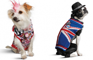 Interested in Dressing Your Dog Like a Harajuku Lover? Interested in Dressing Your Dog Like a Harajuku Lover