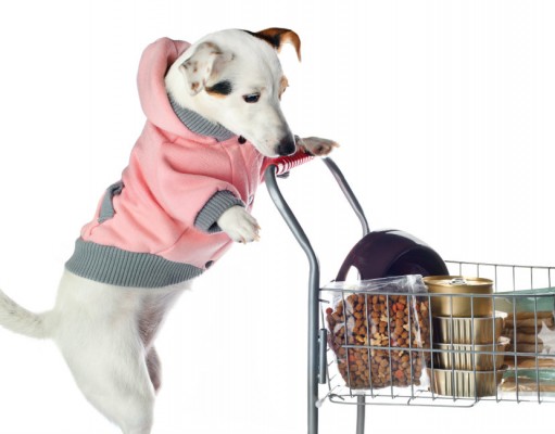 Pets on a Budget: What’s the Best Place to Buy Cheap Dog Supplies? Pets on a Budget - Best Places to Find Cheap Dog Products