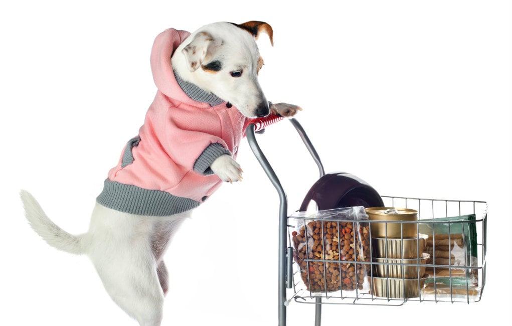 buy pet supplies