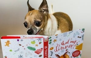 Scratch-and-Sniff Isn’t Just For Kids Anymore Scratch-and-Sniff Isn't Just For Kids Anymore