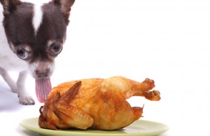Let’s Talk: Sharing Thanksgiving Dinner with Dogs Sharing Thanksgiving Dinner with Dogs