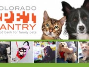 The Pet Community Needs More Organizations Like This One The Pet Community Needs More Organizations Like This One