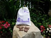 This Unique Product Keeps Your Pet’s Memory Alive This Unique Product Keeps Your Pet's Memory Alive